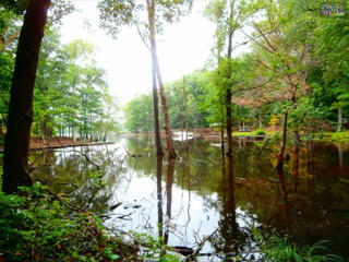 138 Windwood Acres Rd, Batesburg-Leesville, SC 29006-8360