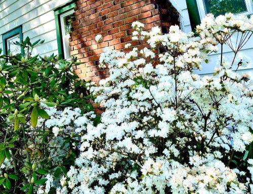 305 Bayberry Rd, Southold NY  11971-4436 exterior