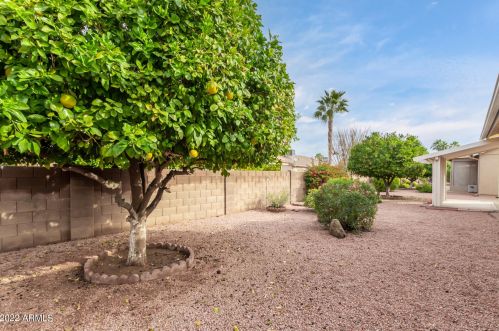 1528 Indian Wells Dr, Chandler AZ  85249-4066 exterior