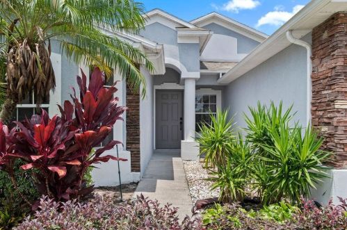 9805 Palmetto Dunes Ct, Orlando, FL 32832-5911