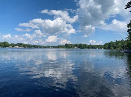 110 Lake Shore Dr, Rock Hill NY  12775-6523 exterior