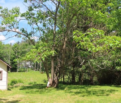 45 Woodcliff Ave, Monticello NY  12701-2539 exterior