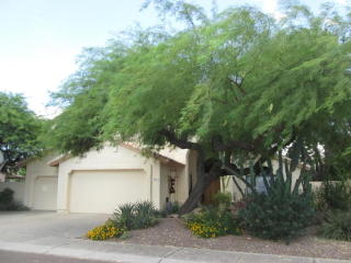 1375 Criss St, Chandler, AZ 85226-1307