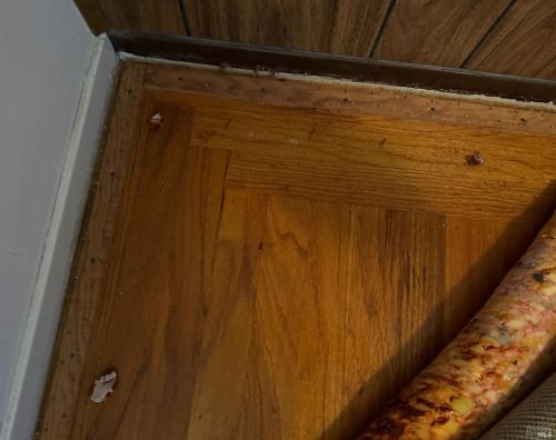 511 Yulupa Ave, Santa Rosa CA  95405-6802 exterior