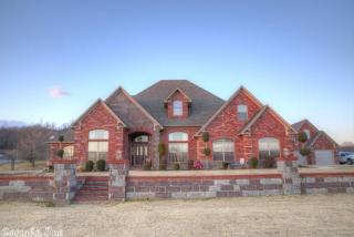 3 Sapphire Ln, Mcgintytown AR  72058-9067 exterior