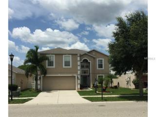 10308 River Bream Dr, Riverview, FL 33569-2720