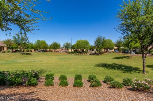 1958 Sunnyvale Ave, Gilbert AZ  85295-9089 exterior