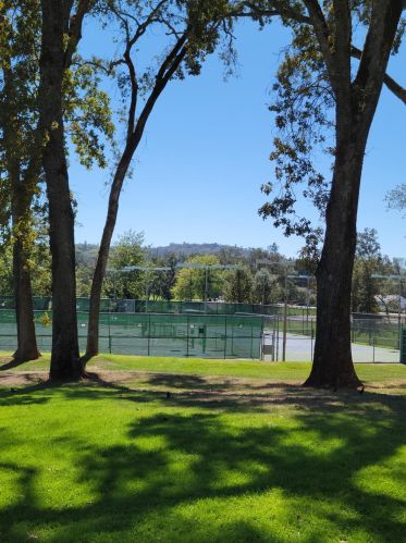 14023 Lodgepole Ct, Lake Wildwood CA  95946-9128 exterior