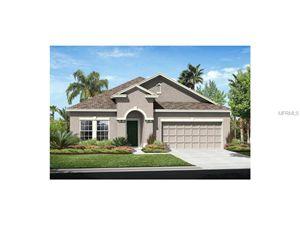 8014 111th Ter, Parrish, FL 34219-2834