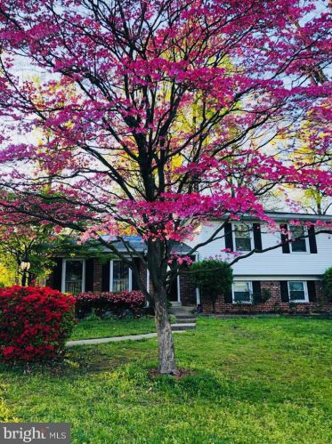 6210 Tyner St, Springfield, VA 22152-1949