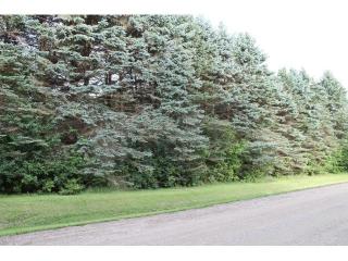 9735 Garden Ln, Otsego, MN 55374-9775