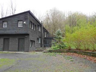 101 Ricci Rd, Leibhardt, NY 12404-5315