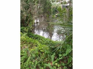 4226 Alafia Blvd, Brandon, FL 33511-7744