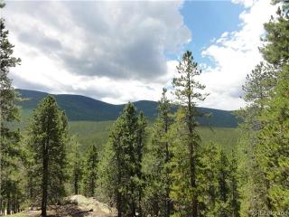 8642 Martin Ln, Conifer, CO 80433-9738