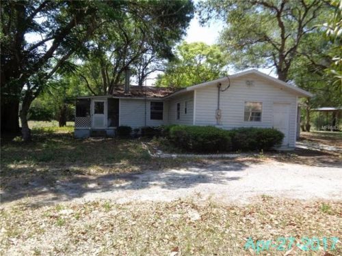 25417 Hutcheson Ln, Mount Plymouth, FL 32776-8131