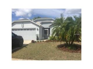 4048 Waltham Forest Dr, Tavares, FL 32778-5725