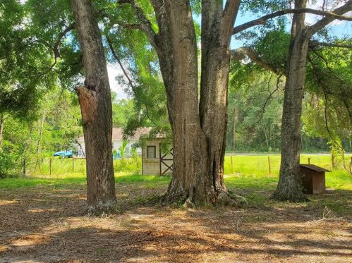 3690 141st Ln, Summerfield, FL 34491-7153