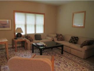 22 Village Rd, Waterville Vly NH  03215 exterior