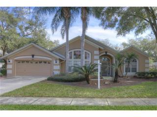 15105 Meadowlake St, Odessa, FL 33556-3130