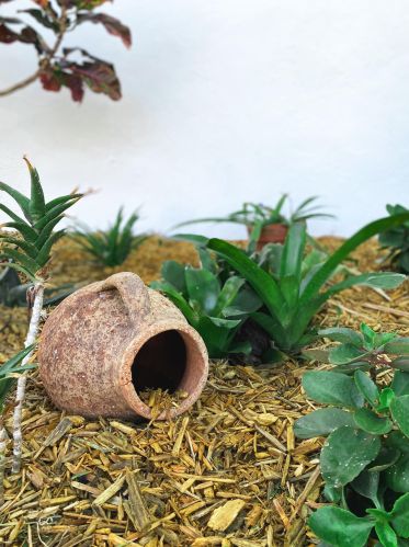 11848 Balsam Dr, West Palm Beach FL  33411-7608 exterior