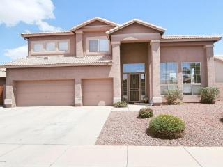 228 Pinto Ct, Gilbert, AZ 85296-2820