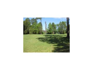 18580 Council Crest Dr, Odessa, FL 33556-5038
