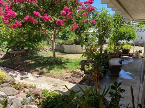 2341 Benita Dr, Rancho Cordova CA  95670-5243 exterior