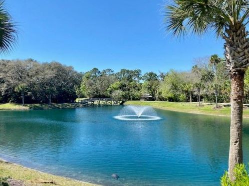 100 Canopy Walk Ln, Palm Coast FL  32137-6558 exterior