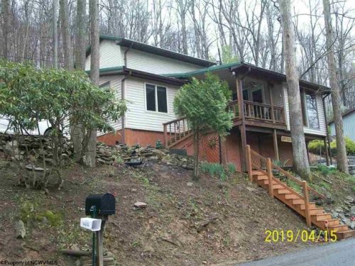 1987 Buckhannon River Rd, Volga, WV 26238-8617
