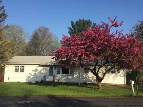 1101 Locust St, Kingston, NY 12401-1038