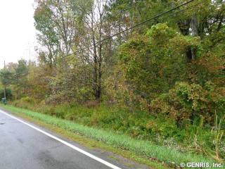 806 Hamlin Clarkson Tl Rd, Hamlin, NY 14464-9518