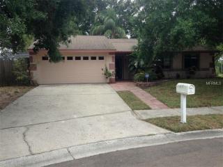 206 Sandwater Ln, Oldsmar, FL 34677-4105