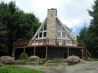 6452 Hencoop Hollow Rd, Ellicottville, NY 14731-9748
