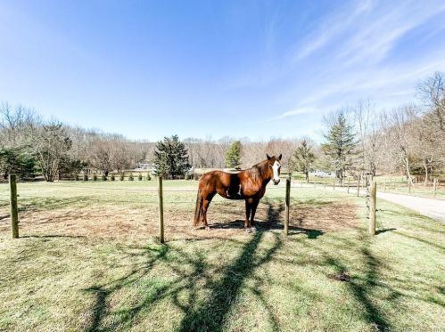 49 Bunny Rd, Norwich CT  06365-8705 exterior