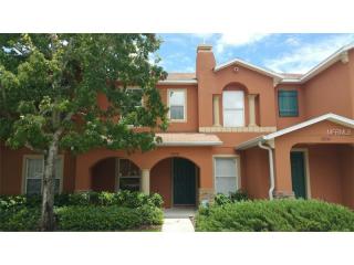 6928 Hawthorne Trce Ln, Riverview FL  33578-4408 exterior