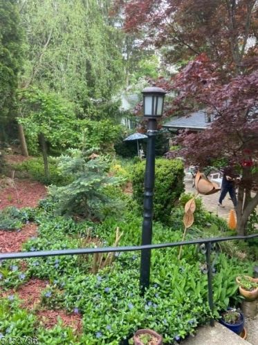 16 Maple Pkwy, Sparta NJ  07871-2011 exterior