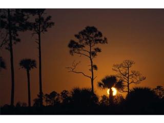 54004 Tamiami Trl, Jerome, FL 34141-2058