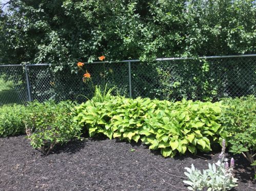 14460 Wilbur Dr, Waukesha WI  53151-5254 exterior