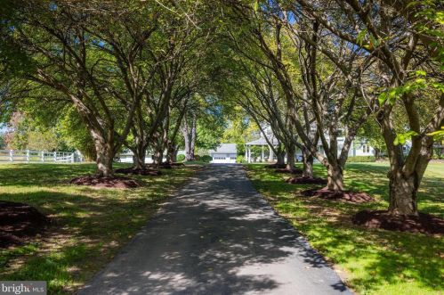 800 Leigh Mill Rd, Great Falls, VA 22066-2625