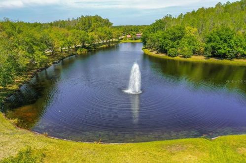 4784 Ridgemoor Cir, Palm Harbor FL  34685-3149 exterior