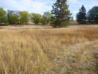 500 Summit St, Colville, WA 99114-9303