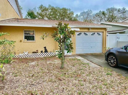 1712 Azalea Ct, Oldsmar, FL 34677-2701