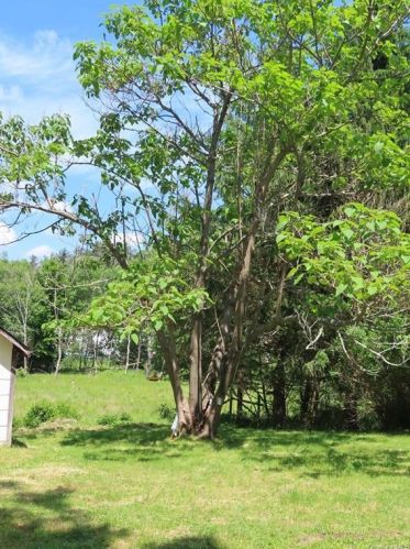 45 Woodcliff Ave, Monticello NY  12701-2539 exterior