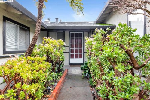 1580 Hallbrook Dr, San Jose, CA 95118-1611