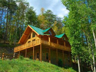 2554 Waldens Creek Rd, Pigeon Forge, TN 37862-7802