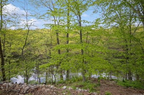 215 Croton Dam Rd, Crotonville NY  10562-2106 exterior