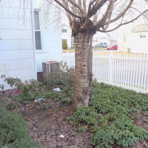 707 Monroe St, New Castle PA  16101-4546 exterior