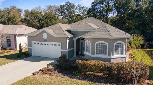 16975 110th Court Rd, Summerfield, FL 34491-1876