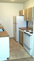 525 Birch Hill Dr, Medina OH  44256-1469 exterior