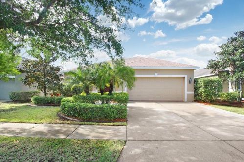10125 Celtic Ash Dr, Ruskin, FL 33573-6732